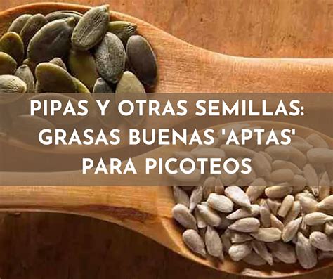 buenas patas com